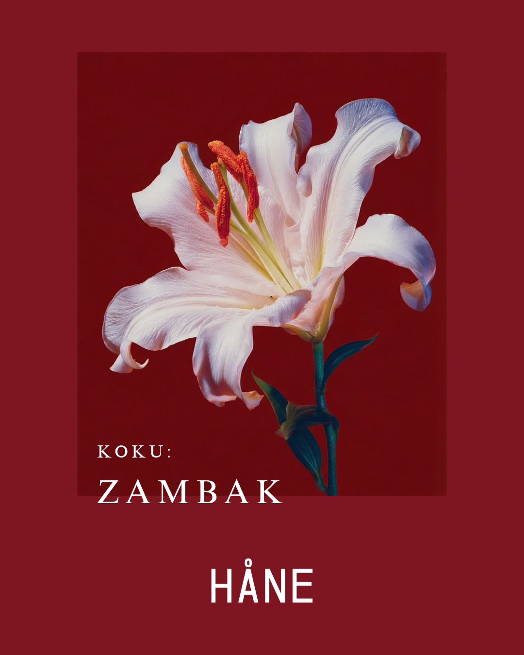 Flowers Zambak Kokulu Teneke Mum 10’lu Set – Düğün, Nişan ve Kına Hediye HÅNE